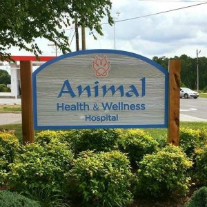 About Our Rural Hall Vet | Animal Health and Wellness Hospital
