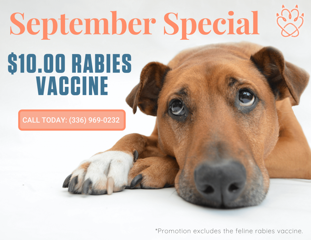 Specials In Rurual Hall Nc Animal Health And Wellness Hospital